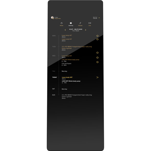 INDIVIDUAL TRAINING PLAN